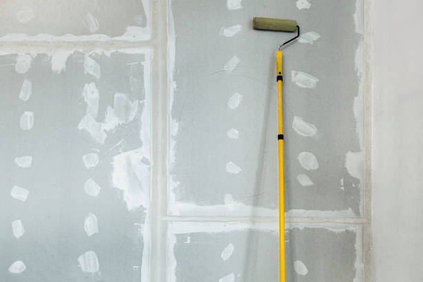 Best Water-Damaged Drywall Repair  in Paw Paw, MI